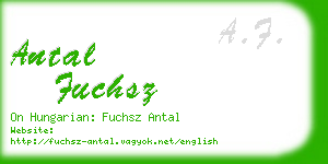 antal fuchsz business card